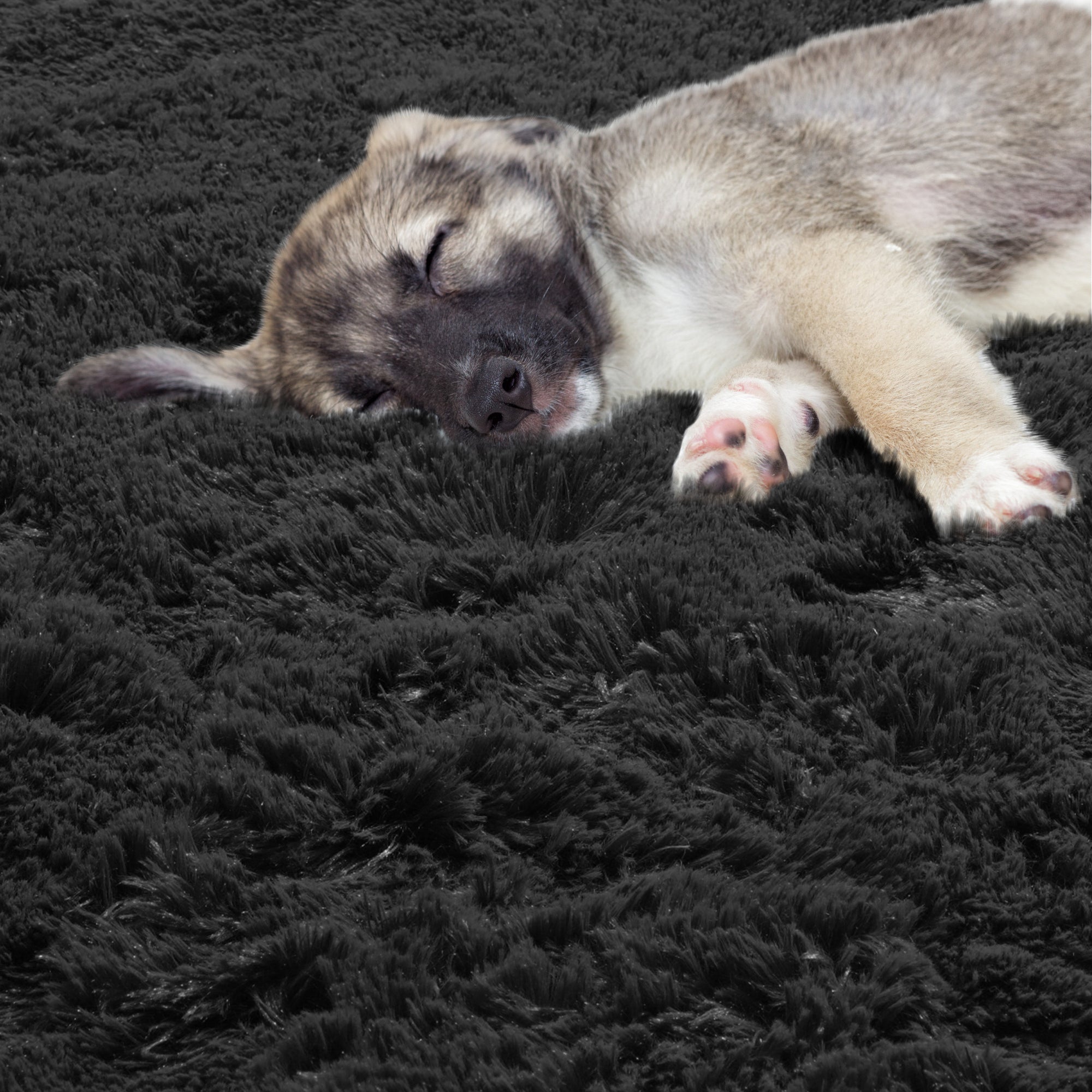 Soft Bedroom Black Round Area Rug