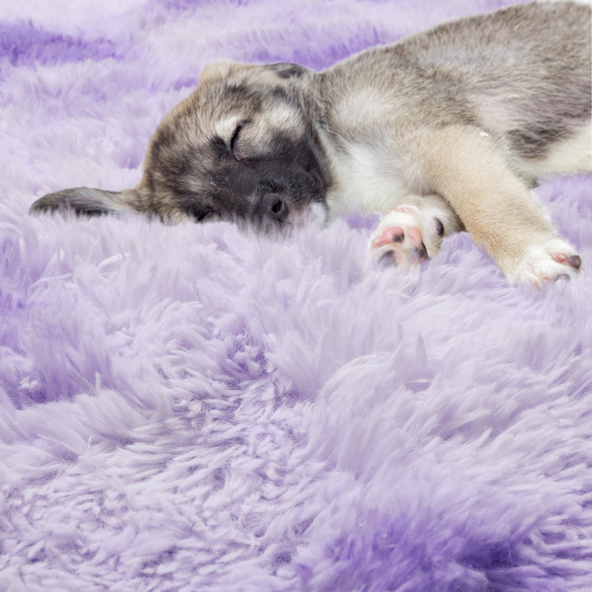 Soft & Plush Modern Home Decor Tie-Dyed Purple Round Area Rug