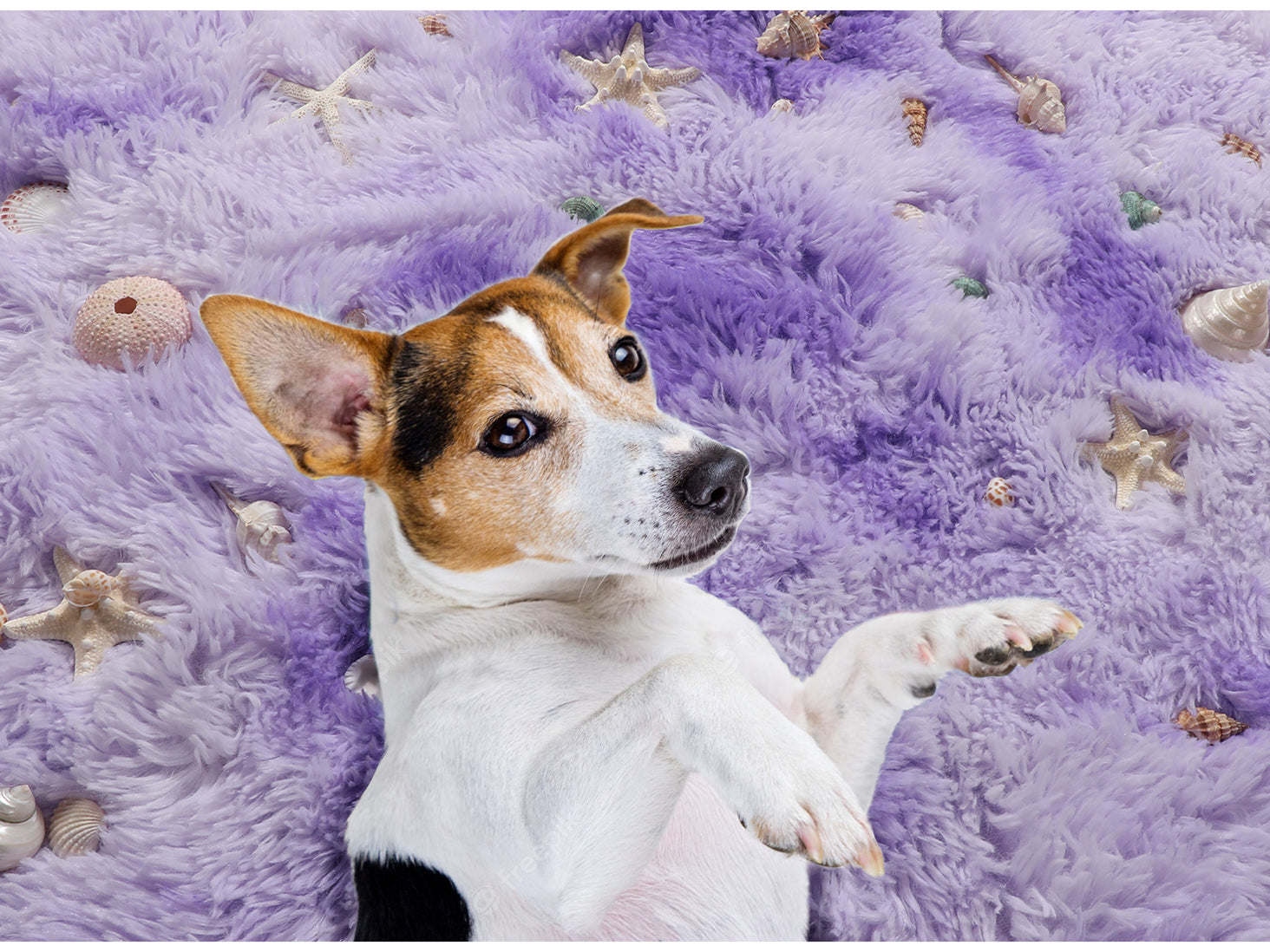 Soft & Plush Modern Home Decor Tie-Dyed Purple Round Area Rug