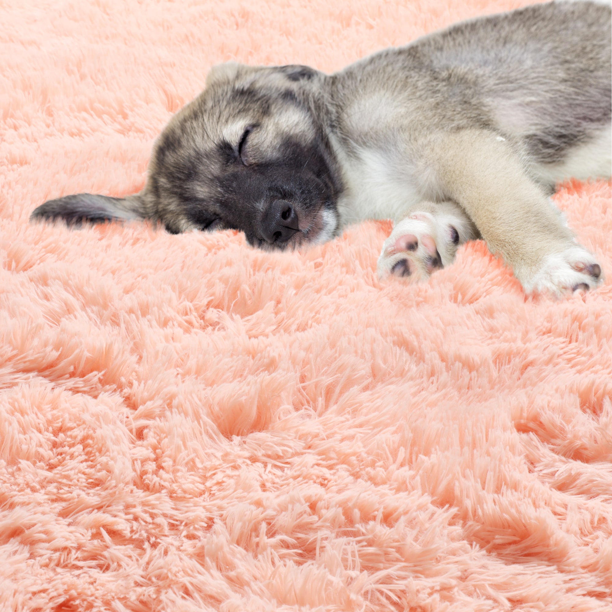 Ultra Soft Luxuriously and Modern Home Decor Corcal Pink Round Area Rug