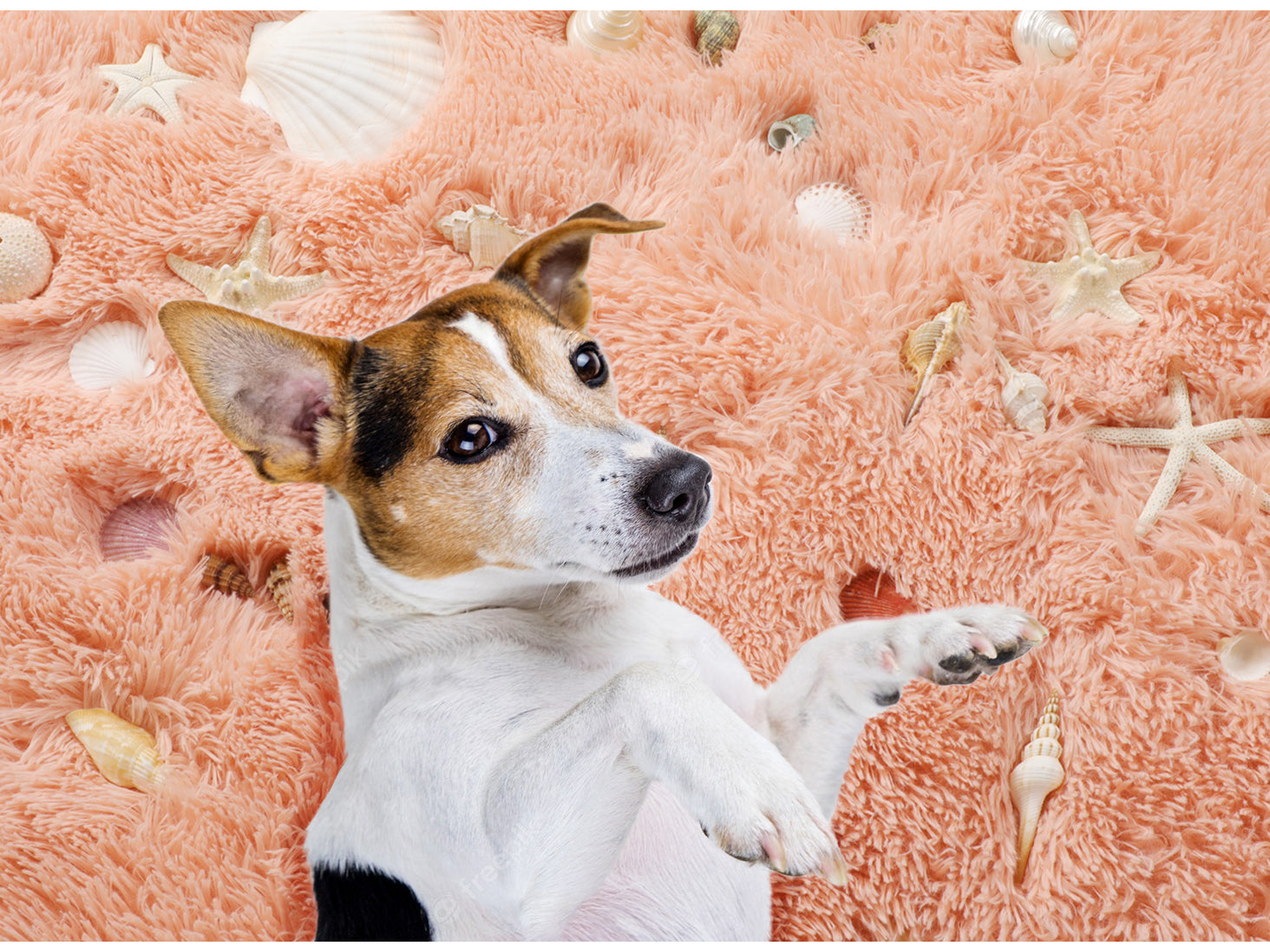 Ultra Soft Luxuriously and Modern Home Decor Corcal Pink Round Area Rug