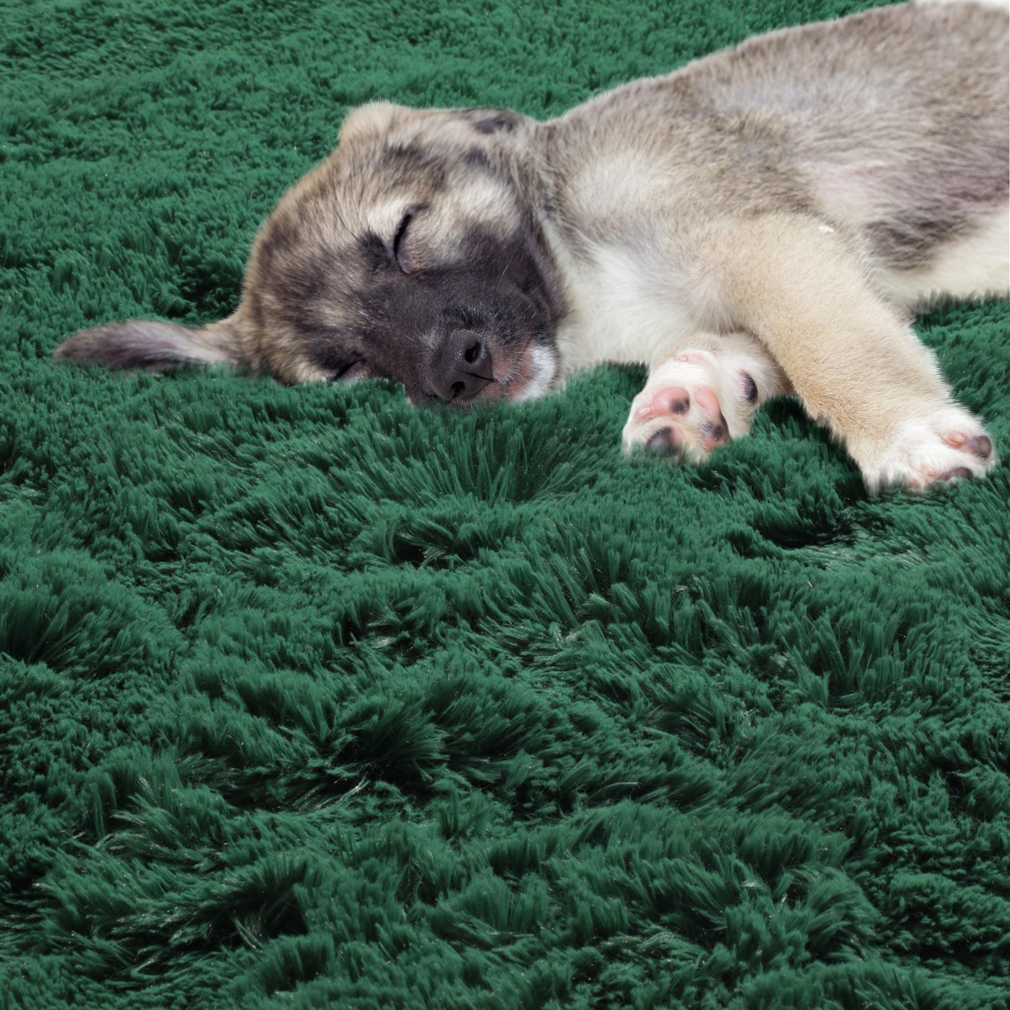 Fluffy Plush Shaggy Deep Green Round Area Rug