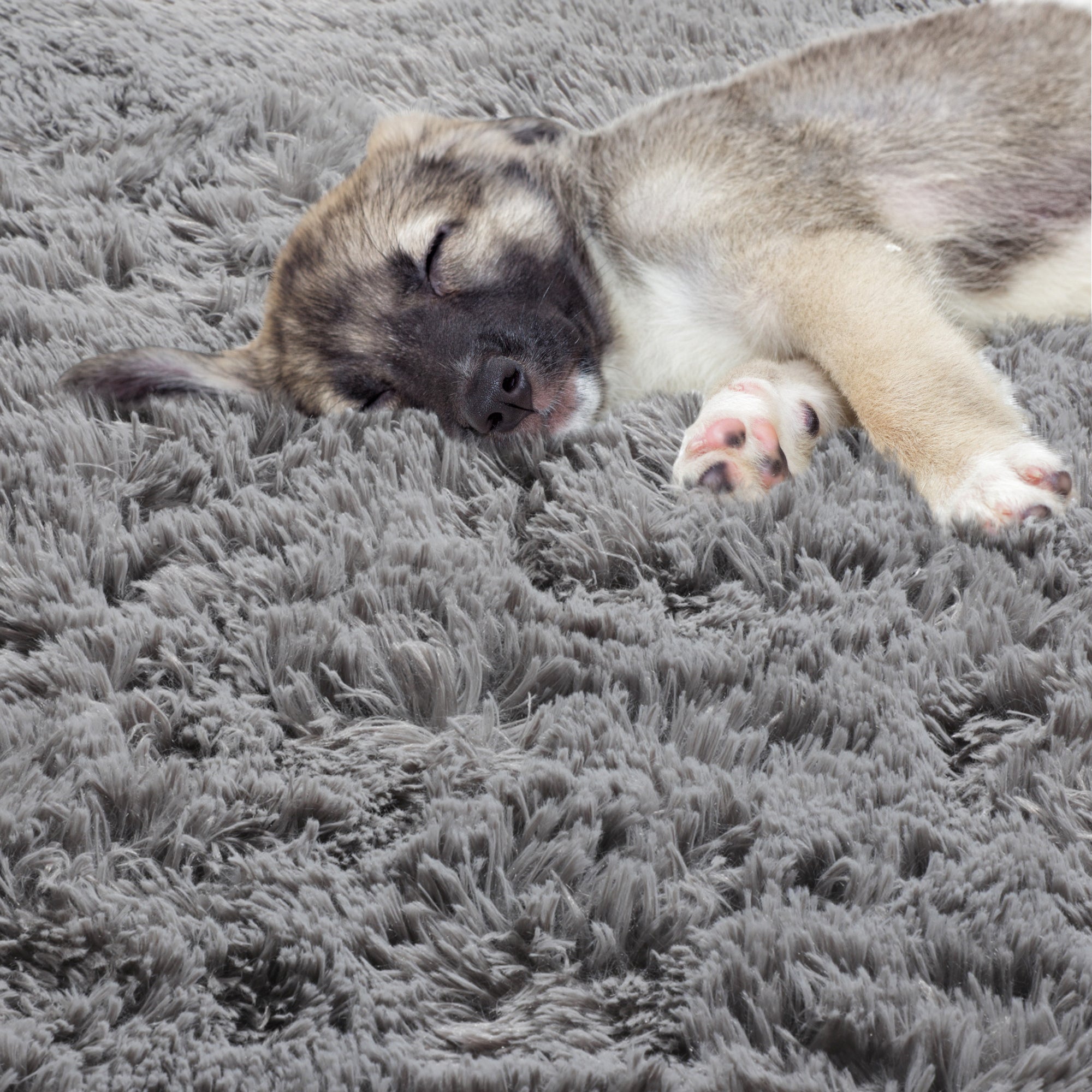 for Kids RoomSoft Plush Gray Round Area Rug