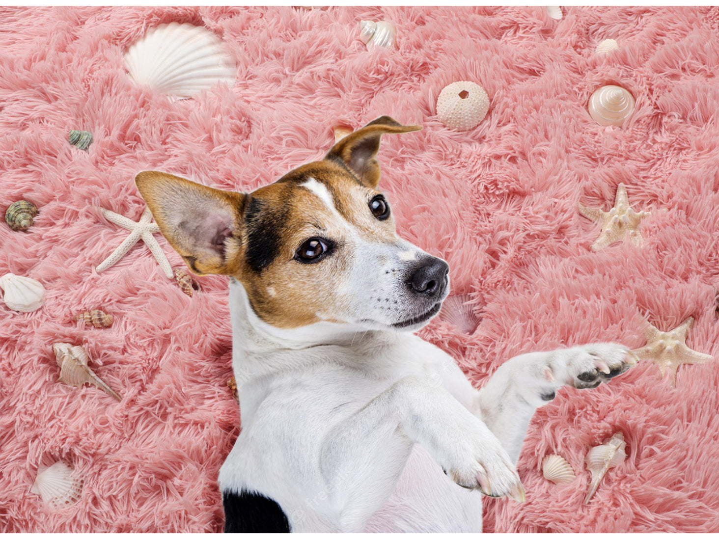 Modern Non-Slip Blush Pink Round rug for Kids Girls Teen Room