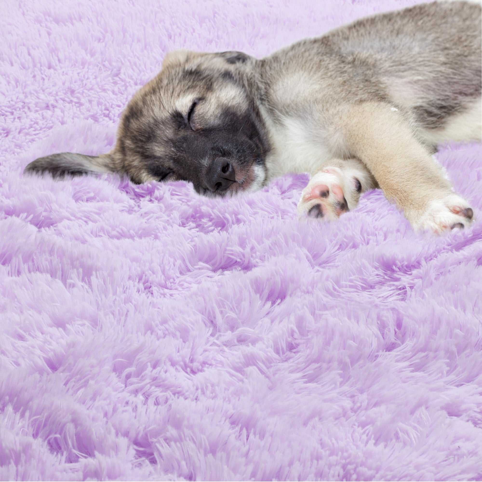 Plush Fiber Kids Room Purple Round Area Rug