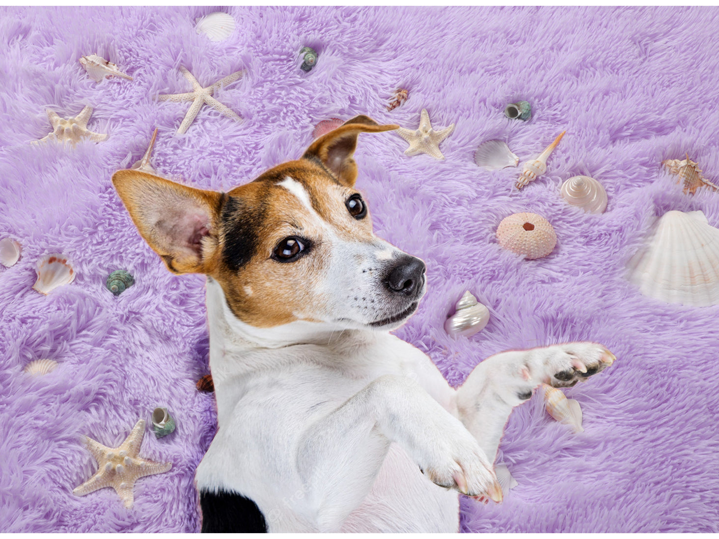 Plush Fiber Kids Room Purple Round Area Rug