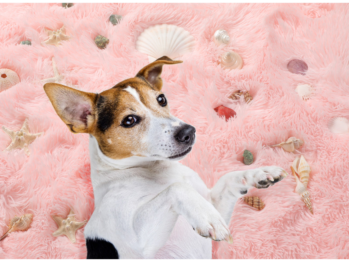 Super Soft Nursery Room Pink Round Area Rug