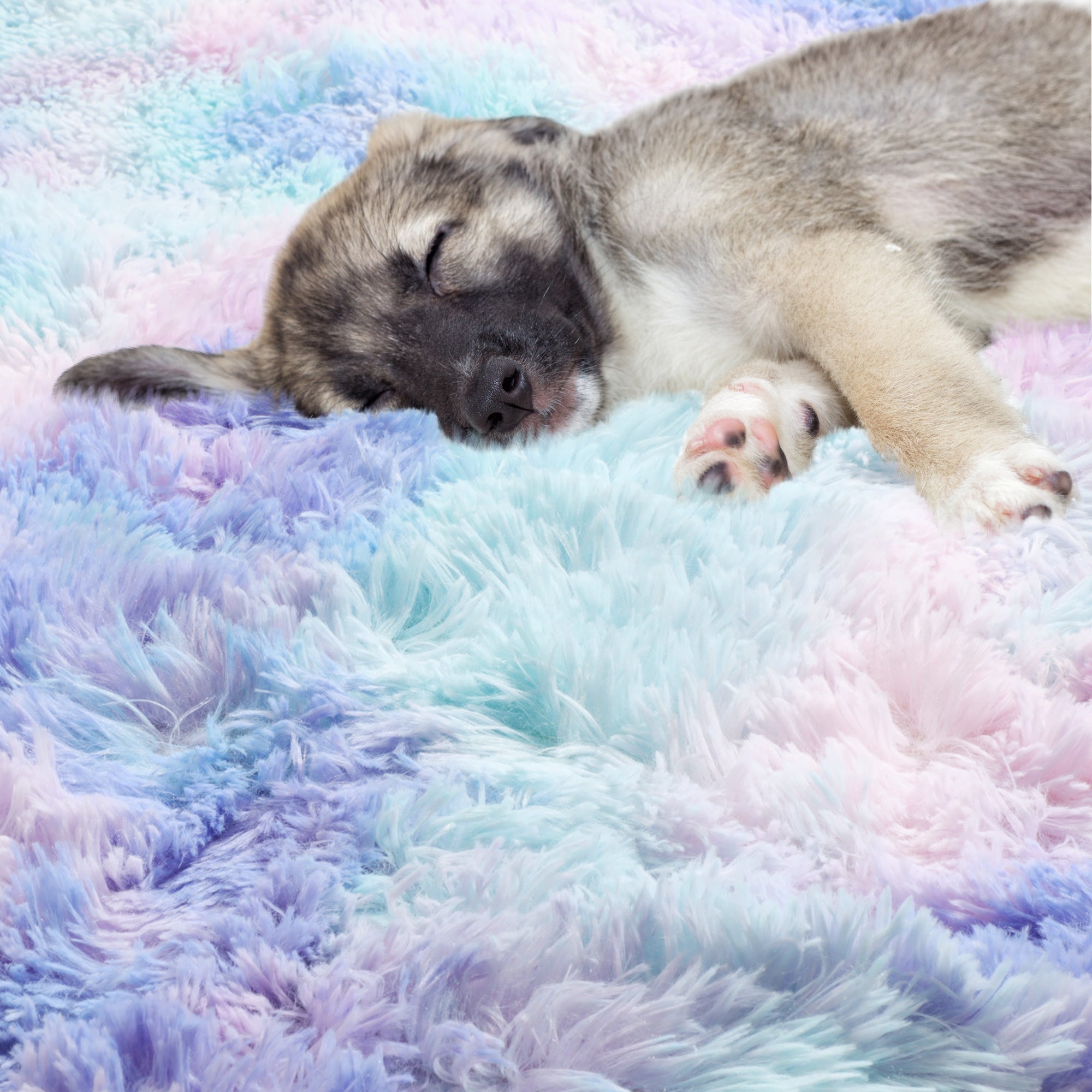 Girls Bedroom Plush Rainbow Moder Round Area Rug