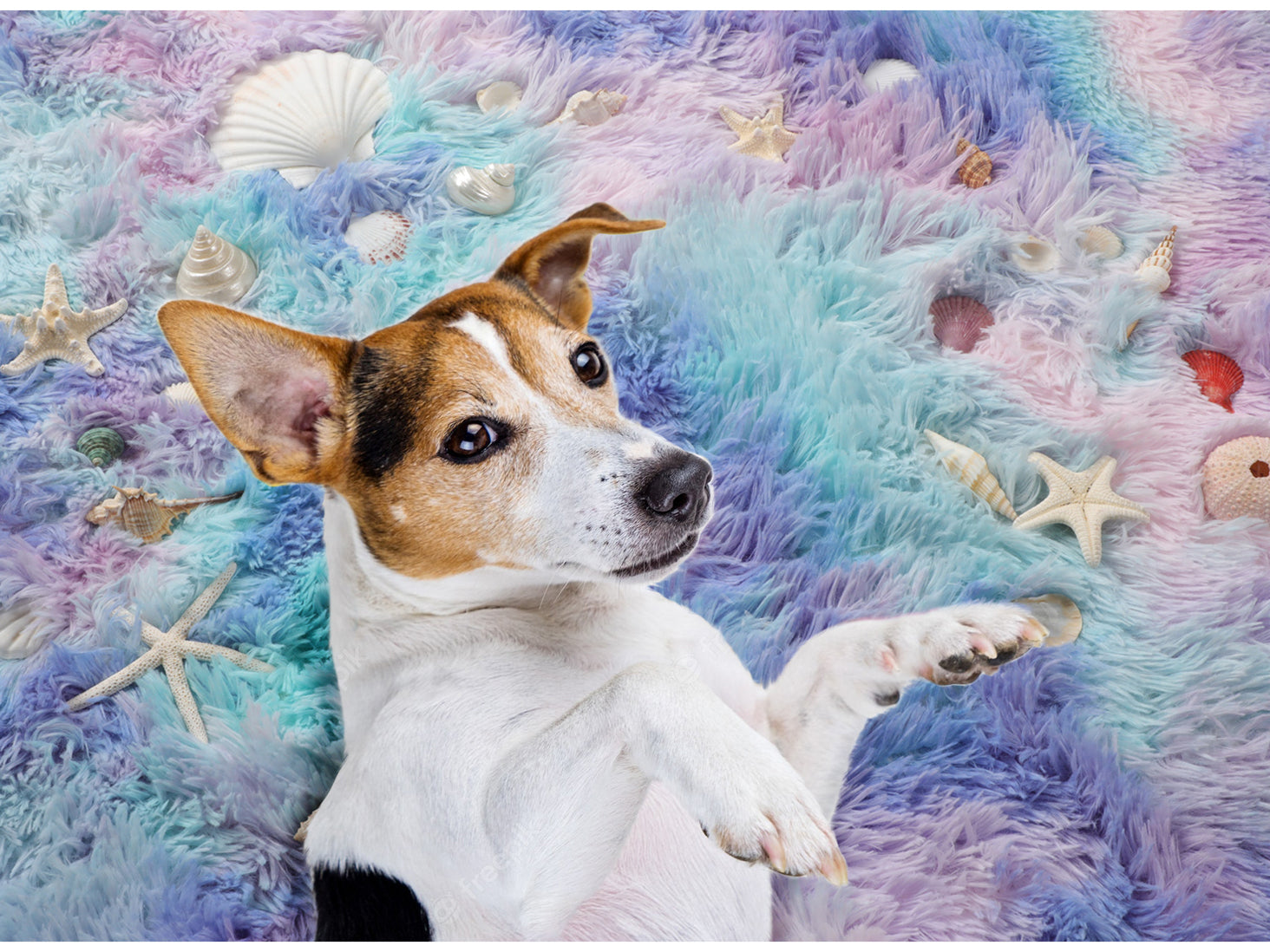 Girls Bedroom Plush Rainbow Moder Round Area Rug