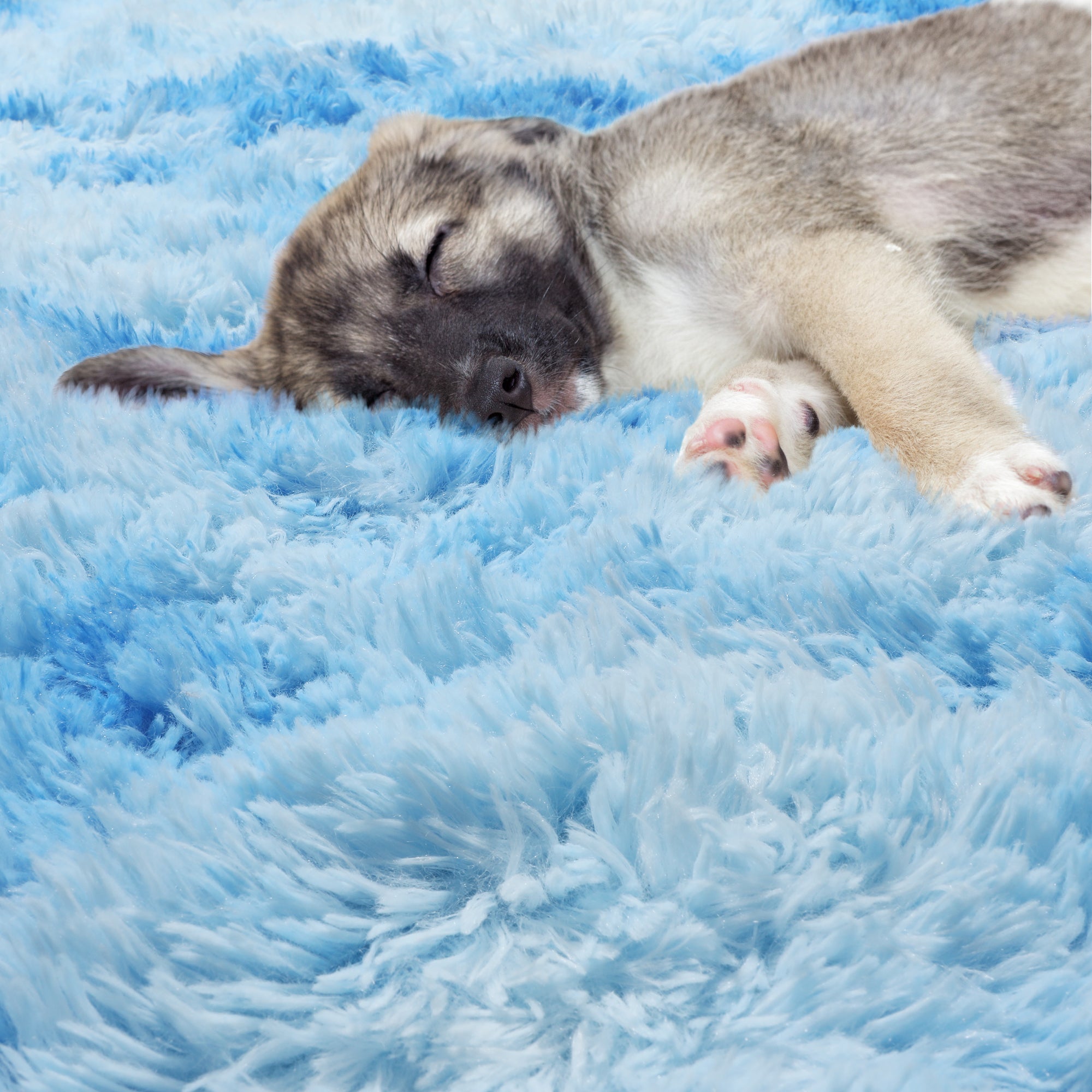 Ultra Soft Modern Indoor Sky Blue Round Area Rug for Kids Girls Teen Room