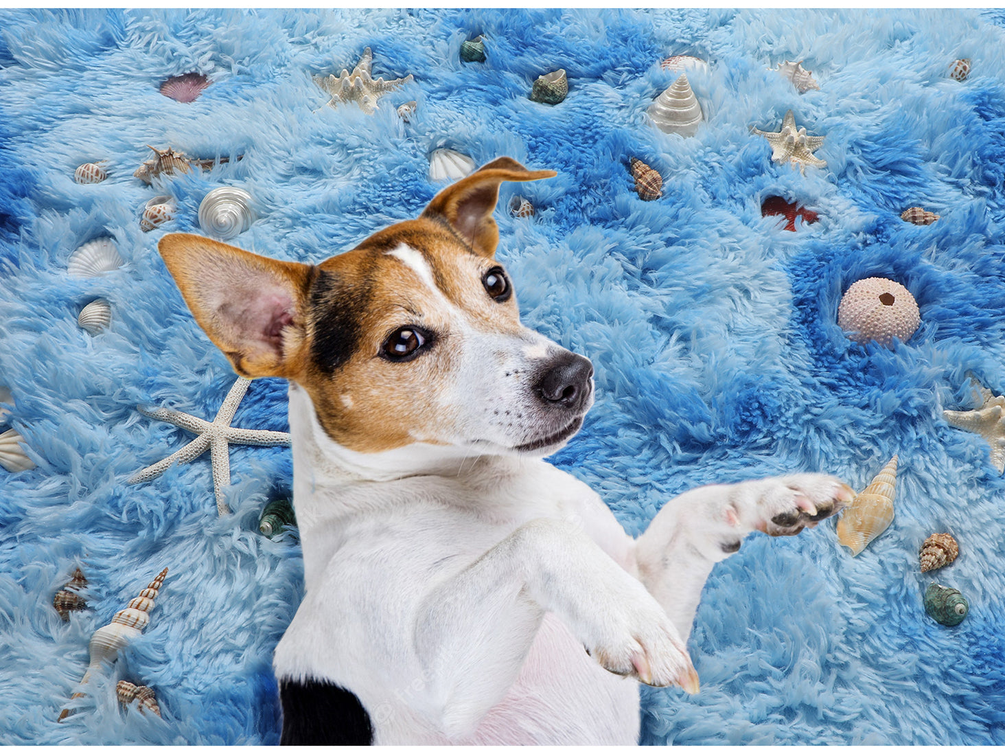 Ultra Soft Modern Indoor Sky Blue Round Area Rug for Kids Girls Teen Room