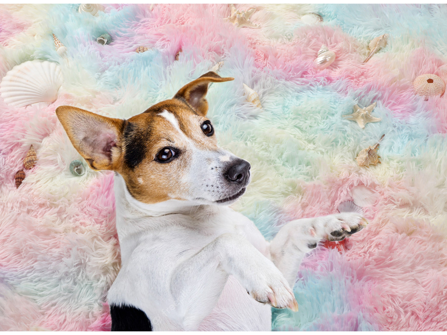 Kawaii Room Decor Rainbow Round Area Rug