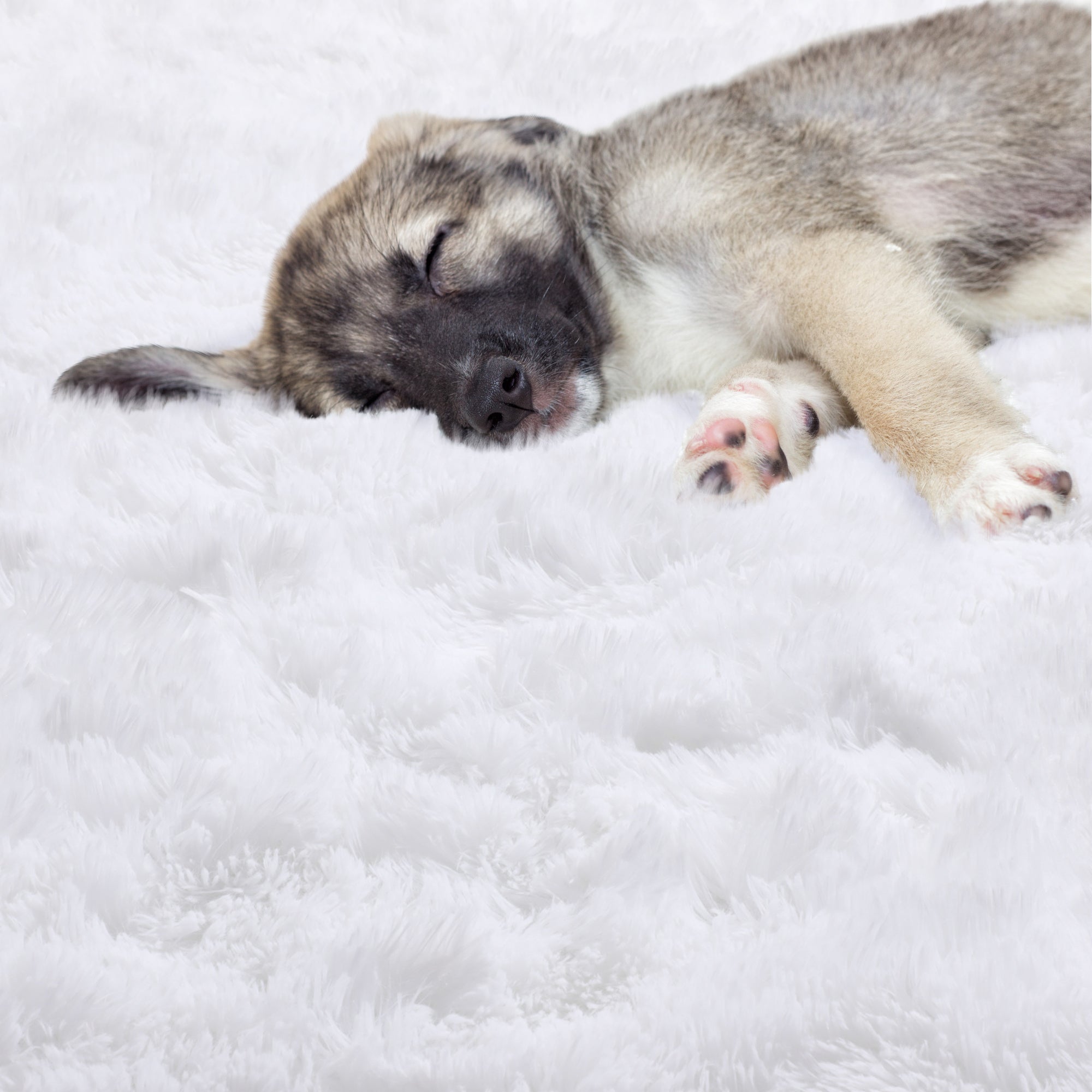 Room Decor White Modern Round Area Rug